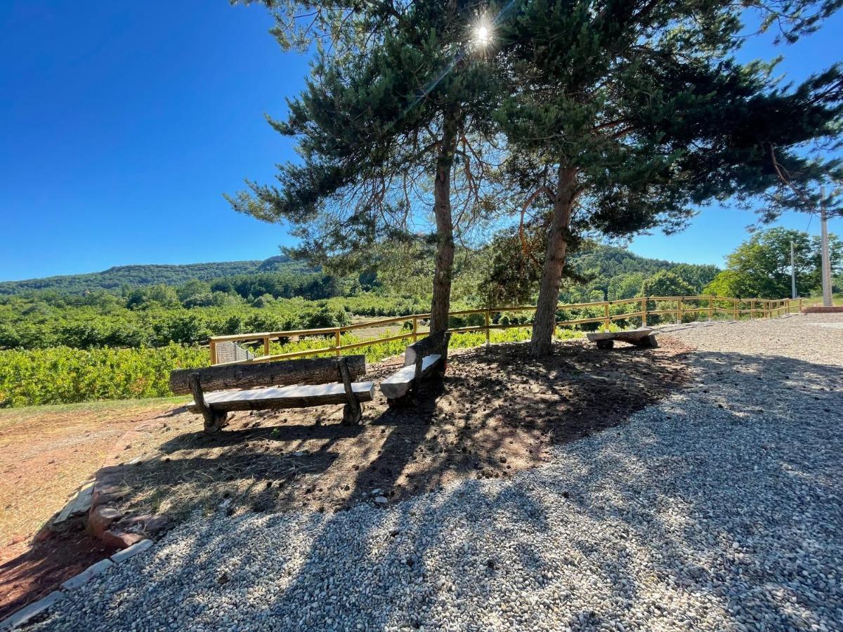 Prades Vila Bella - Casa Molinets I Casa Borrianes Eksteriør bilde